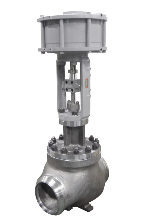 501G：Cage Guided Control Valves 6300L/501G